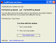 TopWindow.bas screenshot